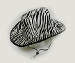 Zebra Cowboy