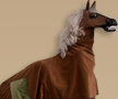 Two Person Horse