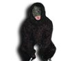 King Kong