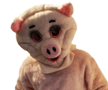Piggy